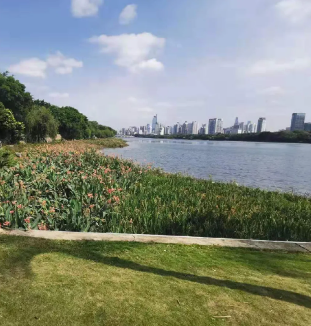 607bd37e0b696.png 9.png